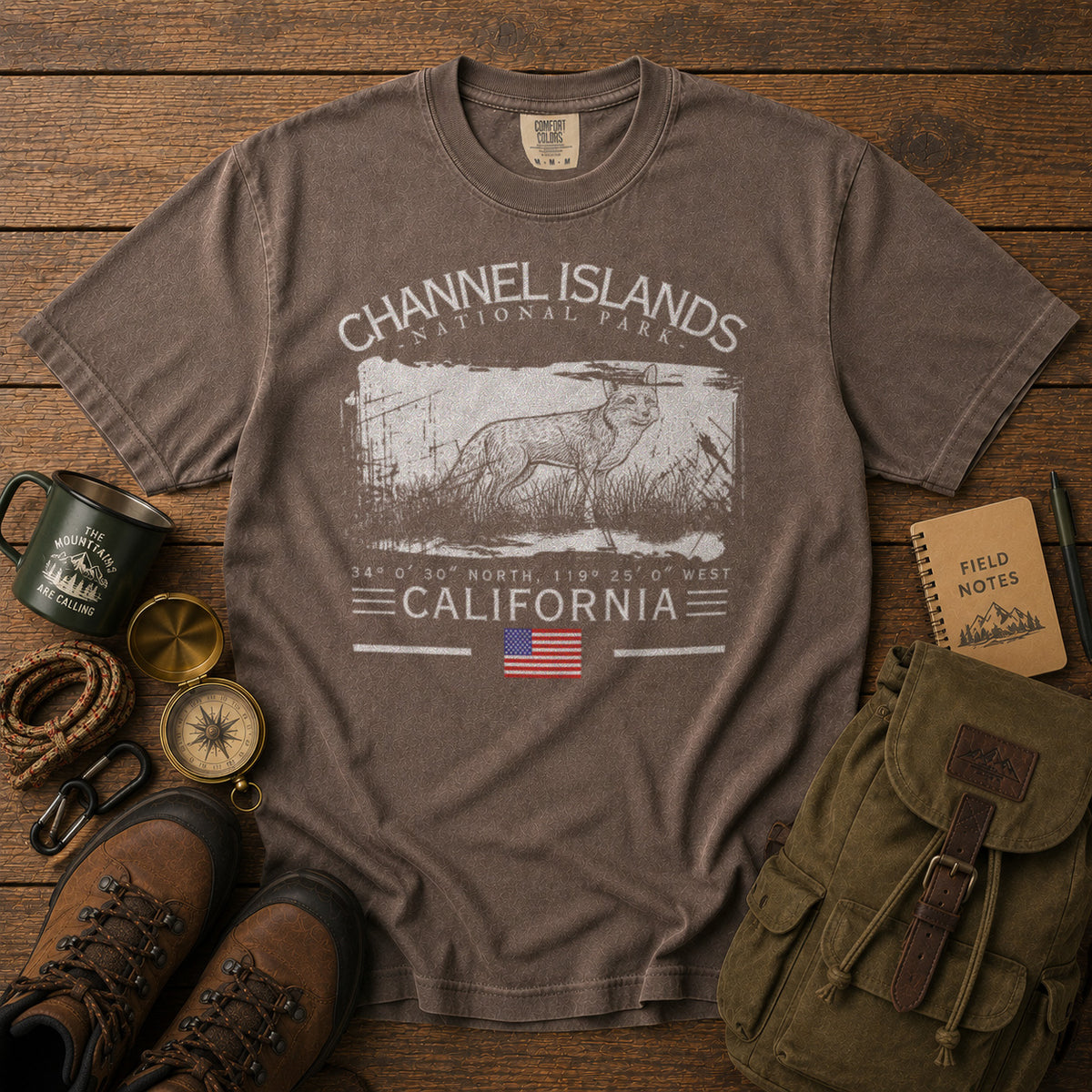 Channel Islands National Park T-Shirt in Espresso - roamstride graphic tee