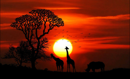 East Africa Safari: What to Know Before You Go