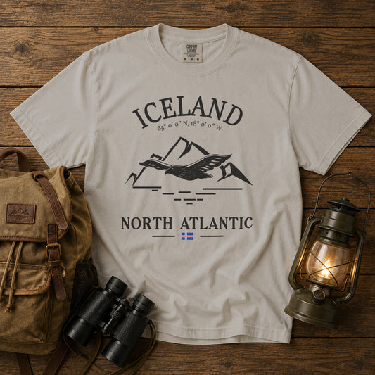 Iceland T-Shirt in Ivory - roamstride graphic tee