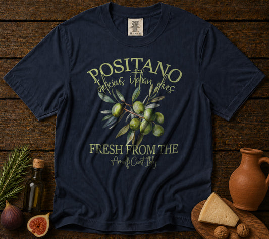 Positano Amalfi Coast Italy T-Shirt
