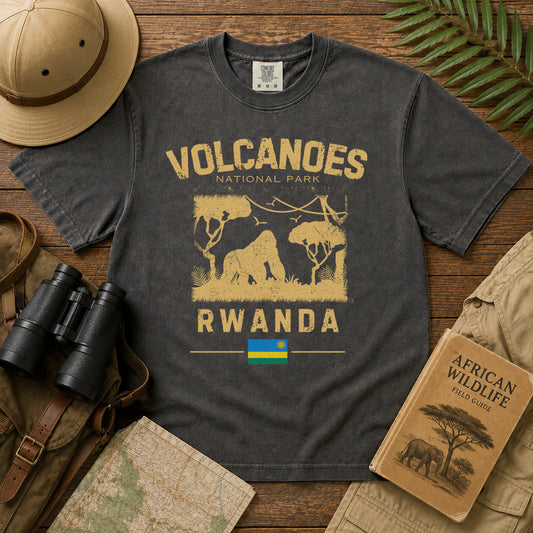 Volcanos T-Shirt in Pepper - roamstride graphic tee
